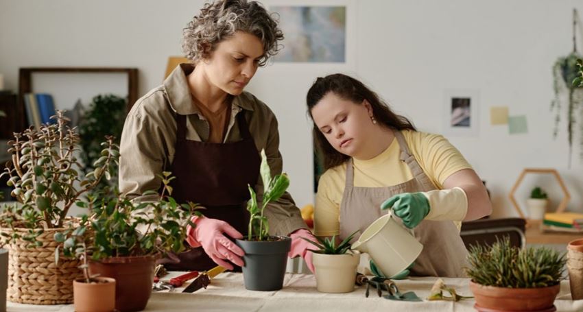 Assist You To Remain Independent